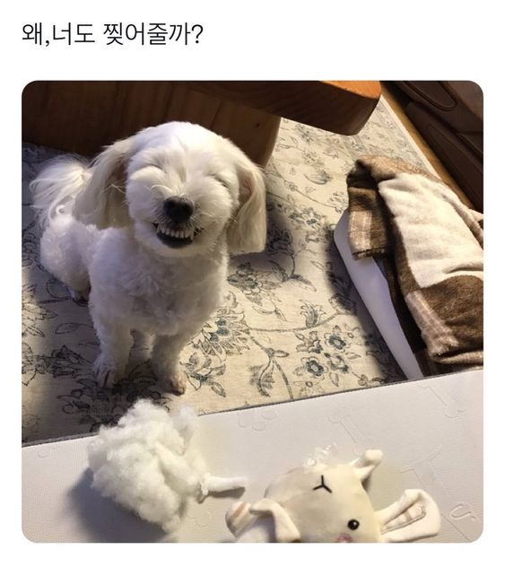 다인위즈 이미지