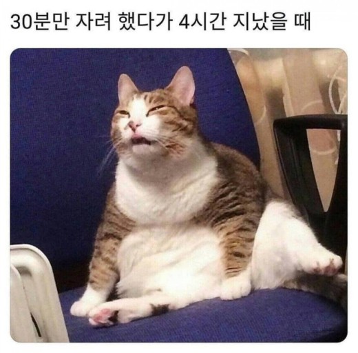버거프라자 이미지