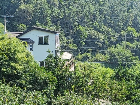 동호농장달코미복숭아 이미지