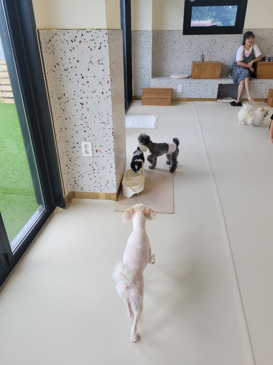 멍스럽 이미지
