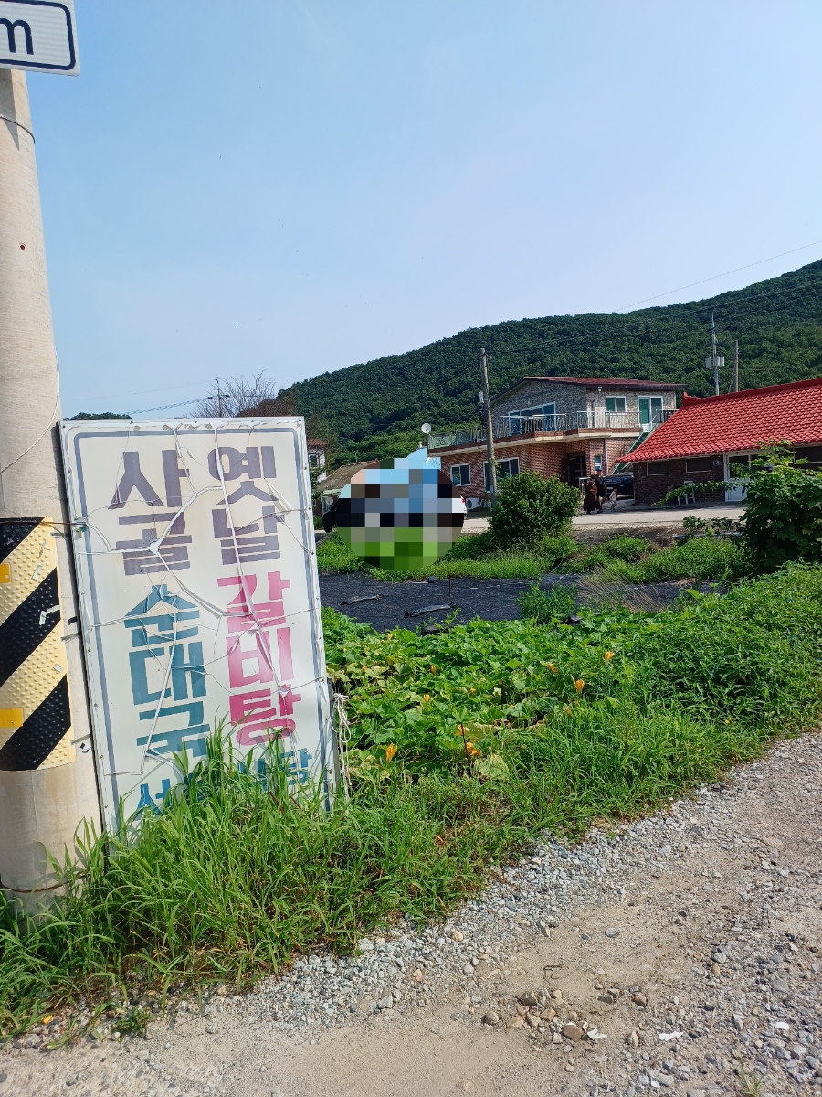 먹고봐식당 이미지