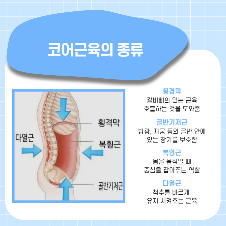 중심코어 모래내 이미지
