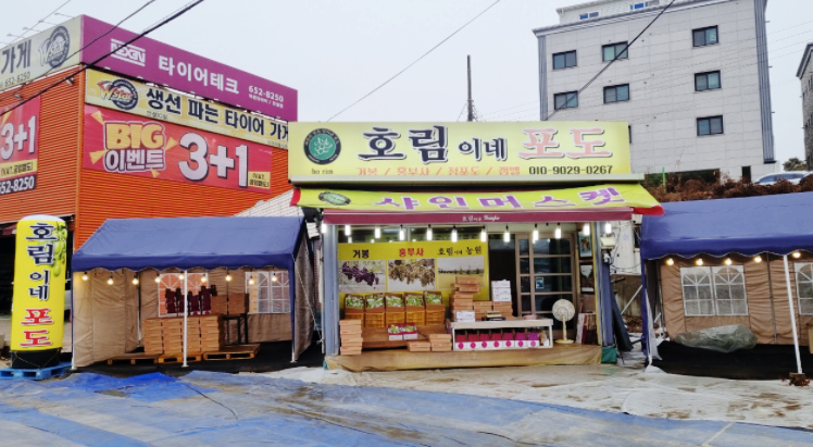 싱싱포도원 이미지