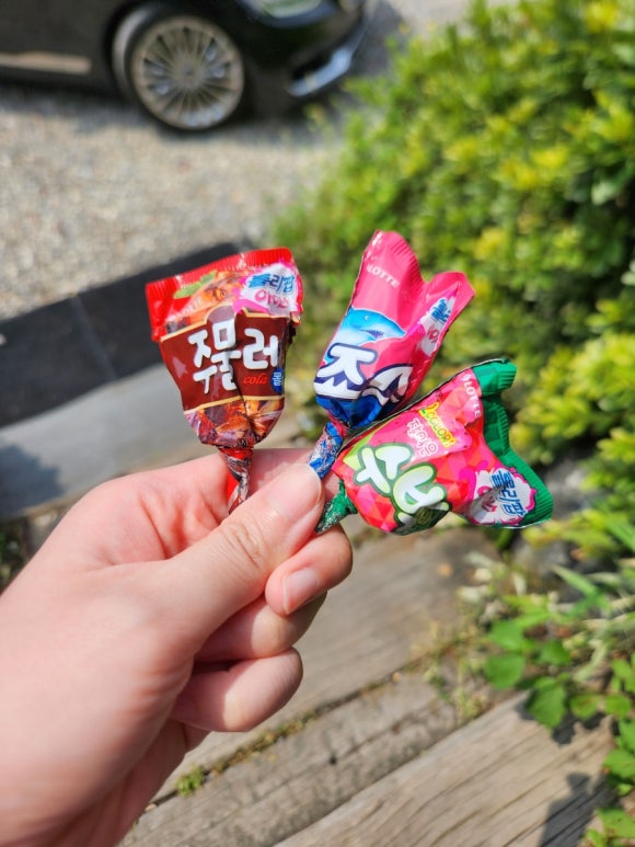 더(THE) 단디 이미지