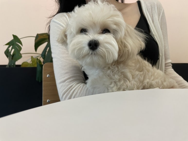 미드나잇 카페 이미지