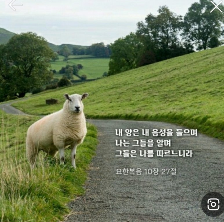 내음성 이미지