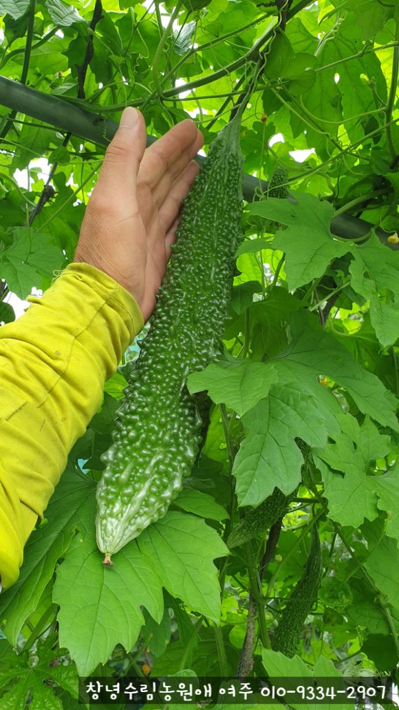 농업회사법인 자연과농부(주) 이미지