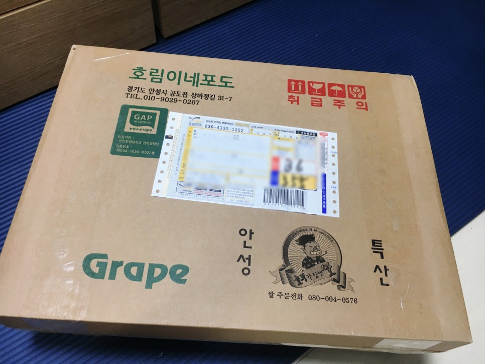 싱싱포도원 이미지