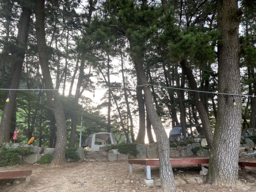사촌해수욕장야영장 이미지