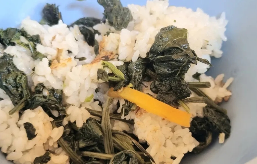 콩이랑곤드레 이미지