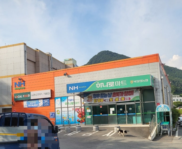 북창원농협 하나로마트 이미지
