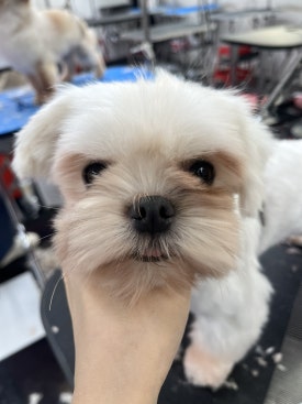 미용천하 이미지