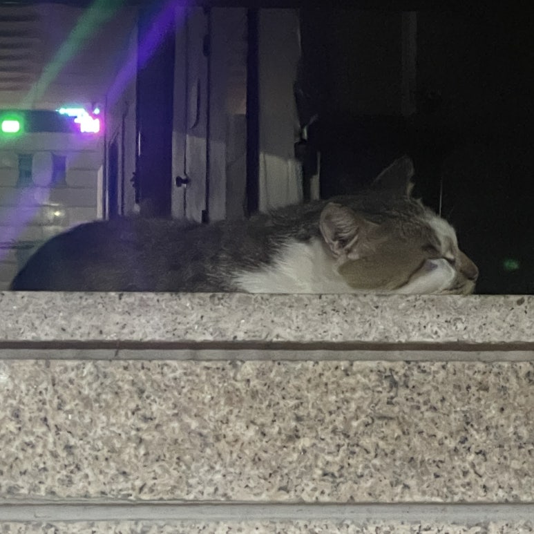 은행나무빵집 이미지