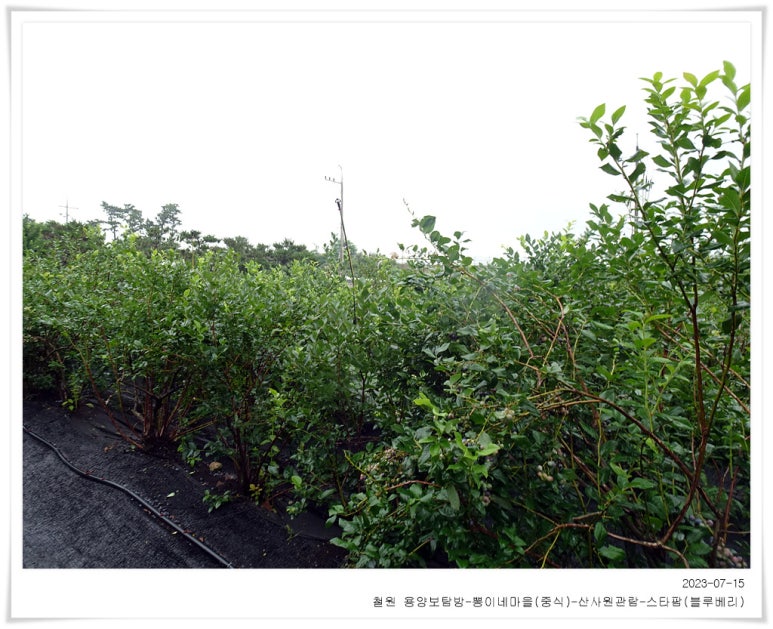 평화농원 이미지