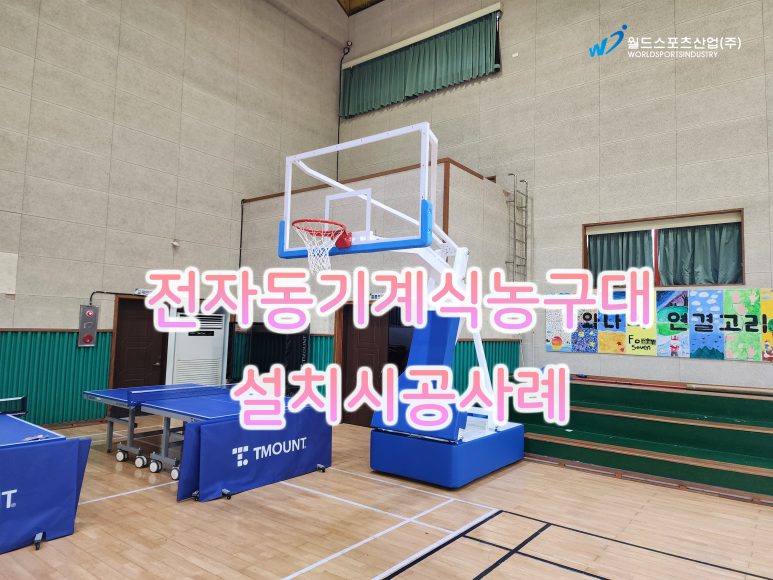 화순오성초등학교 이미지