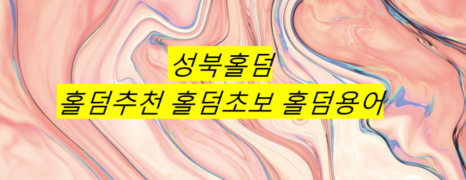 스카이홀덤 이미지