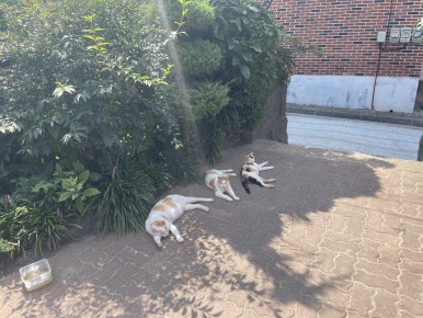 나리하우스 이미지