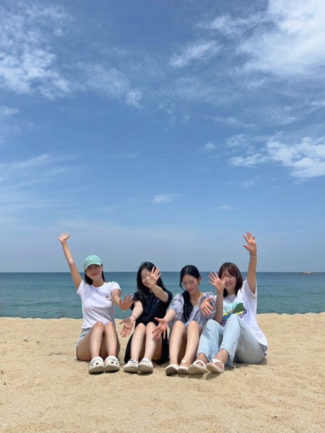 스시사쿠 이미지