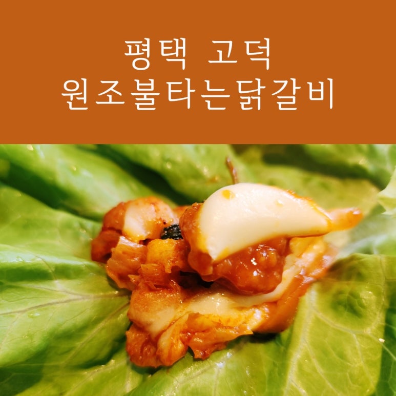 원조불타는닭갈비 이미지