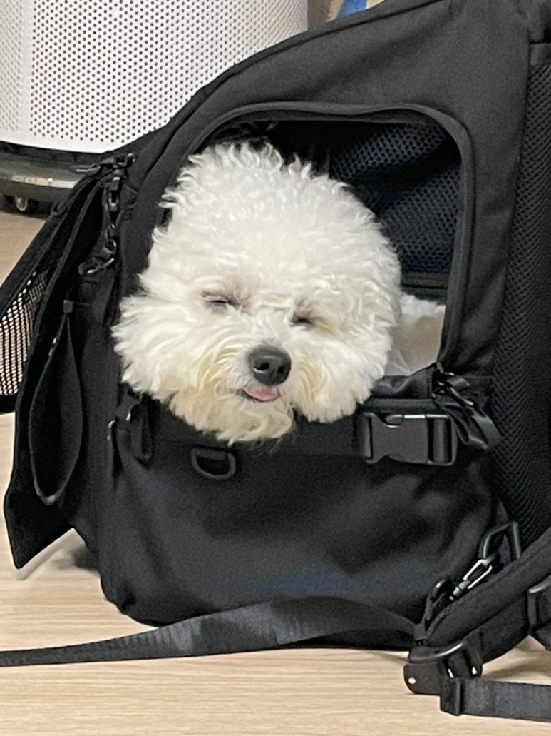 명륜진사갈비성성점 이미지