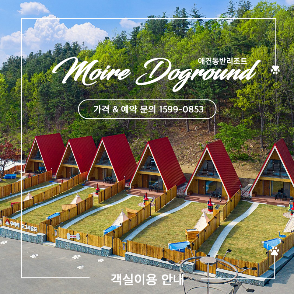 도그라운드 이미지