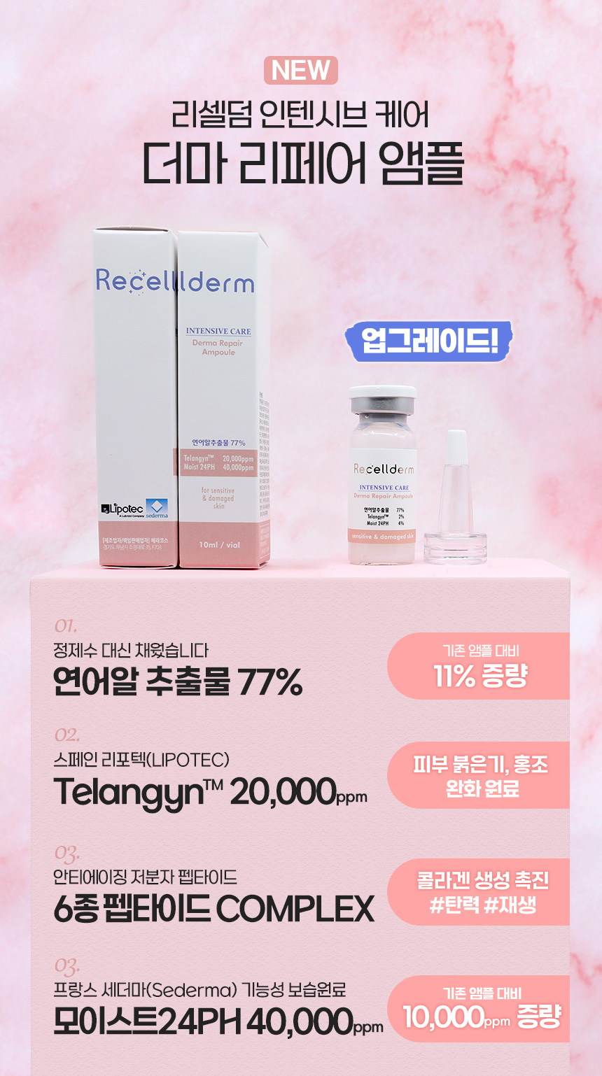보스 연어 이미지