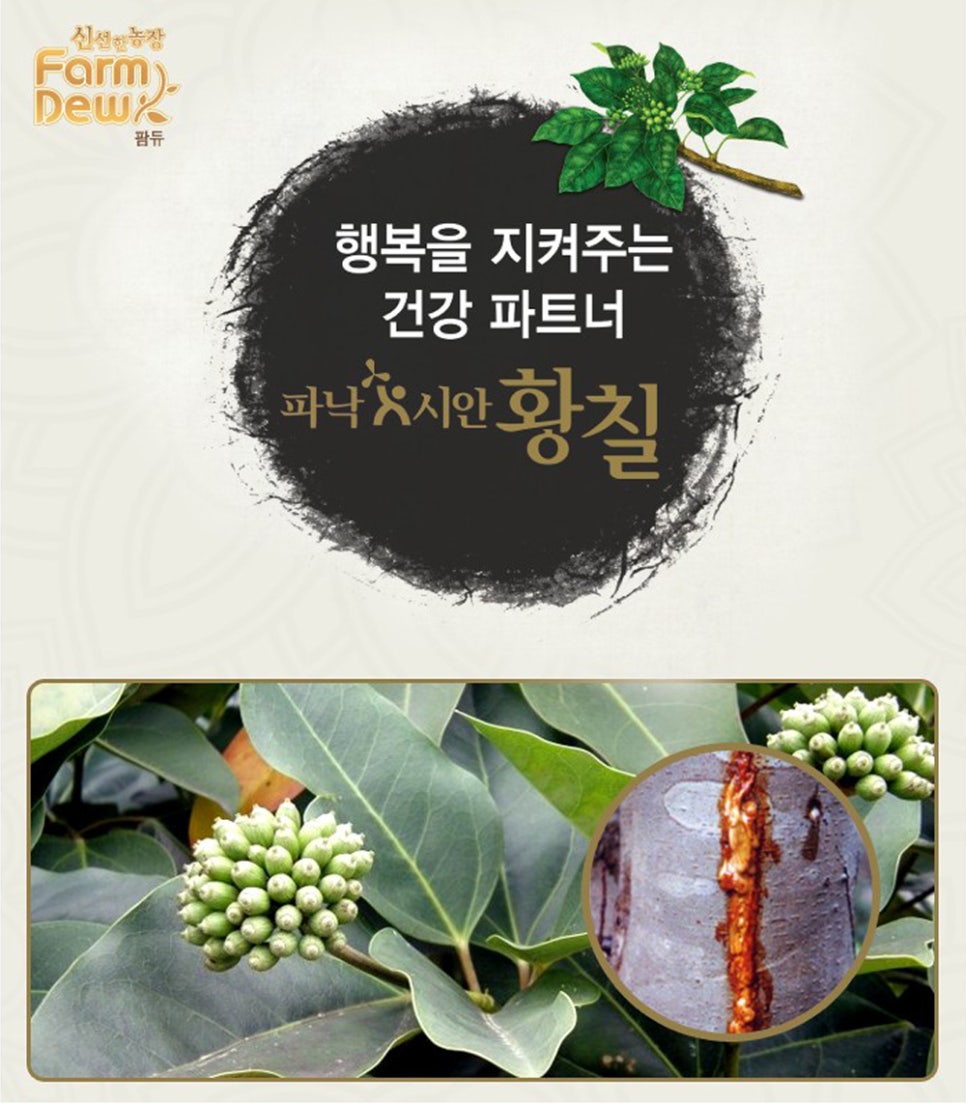 전남녹즙 이미지