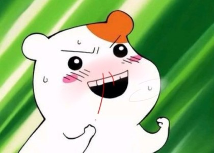 지미당 이미지