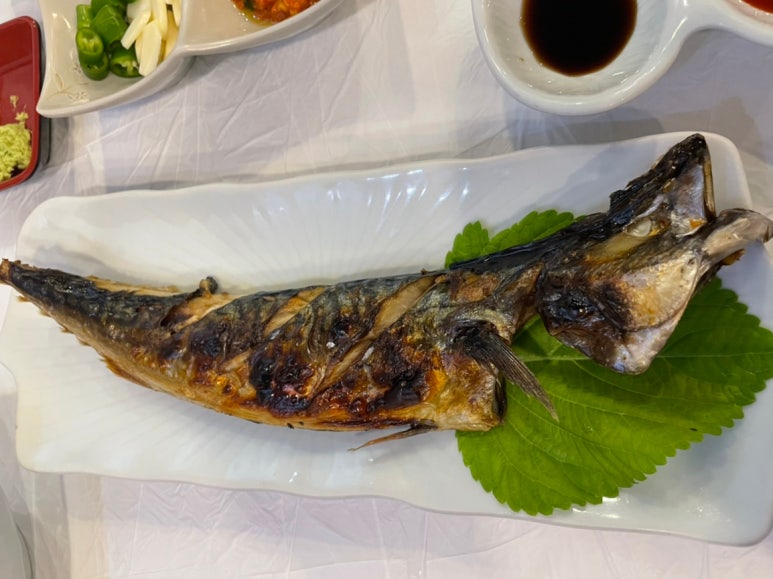 그물에걸린바다풍경 이미지