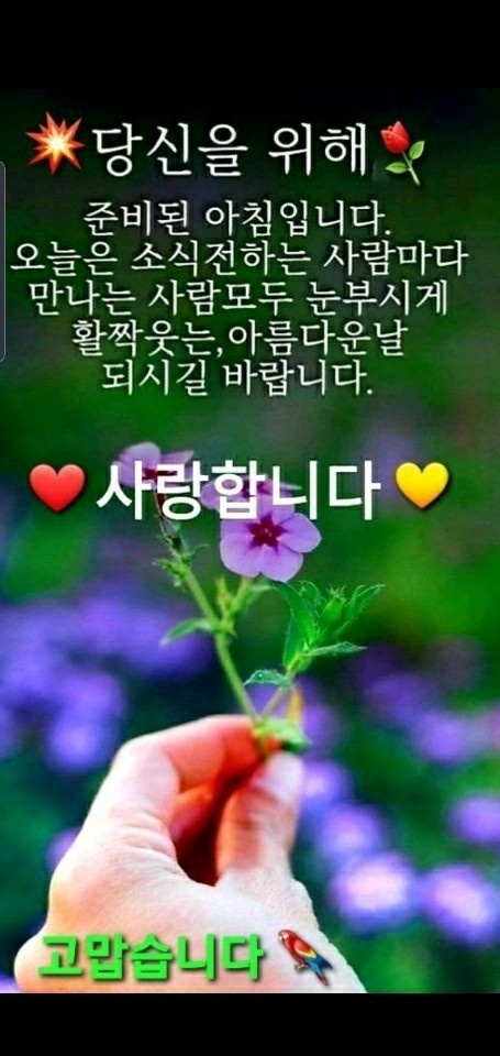 행복상사 이미지