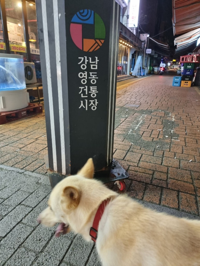 나가수노래연습장 이미지