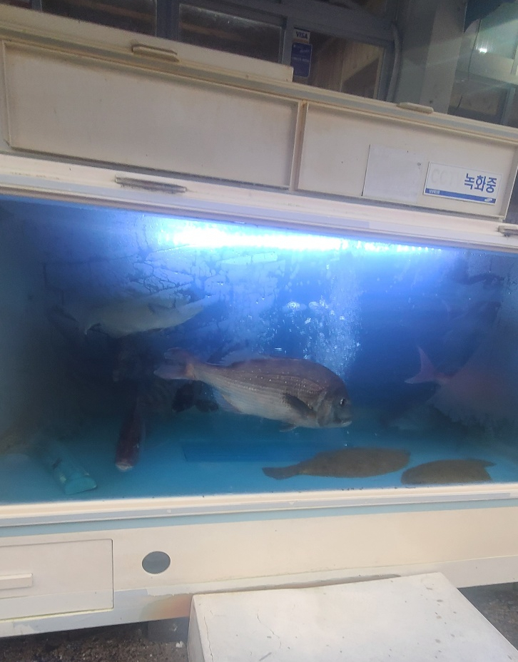 동네수산 이미지