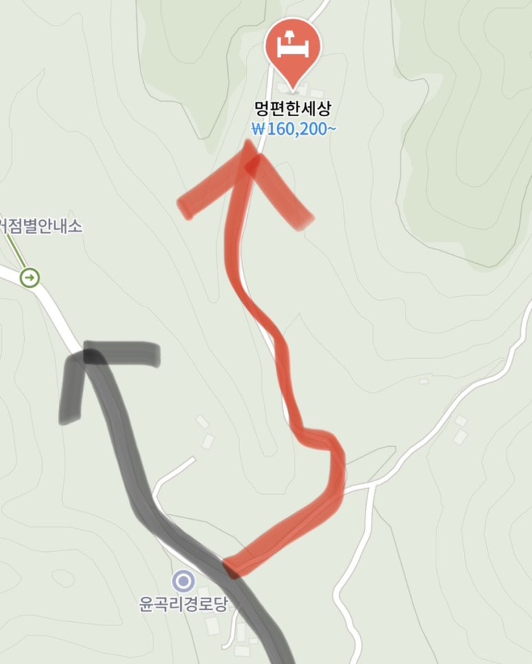 멍편한세상 이미지