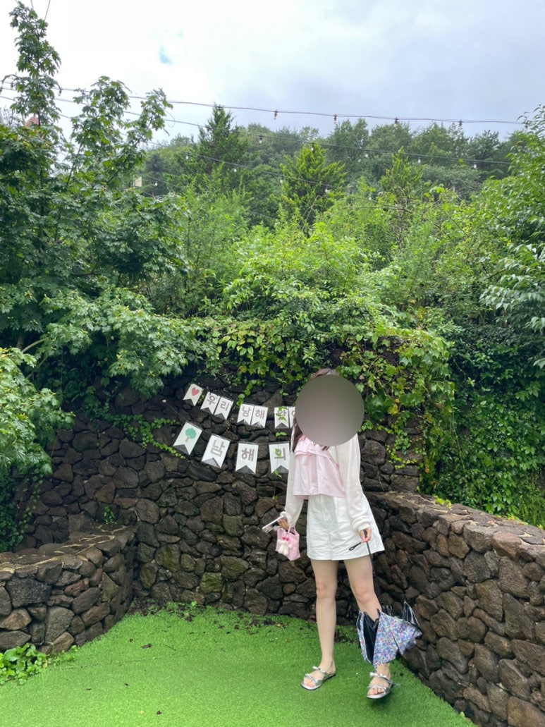 남해의 숲 이미지