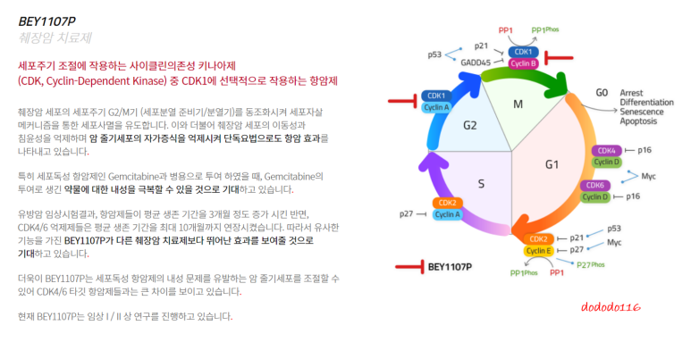 제이에스인베스트먼트 이미지