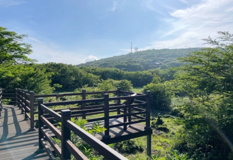 인천여행사 이미지