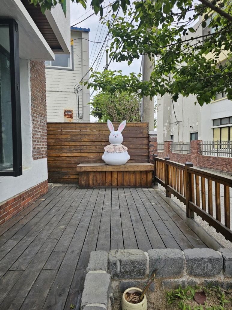 강릉;앨리스 이미지