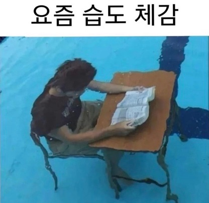 라뷰 이미지