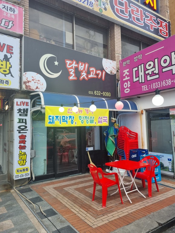 달빛고기 이미지