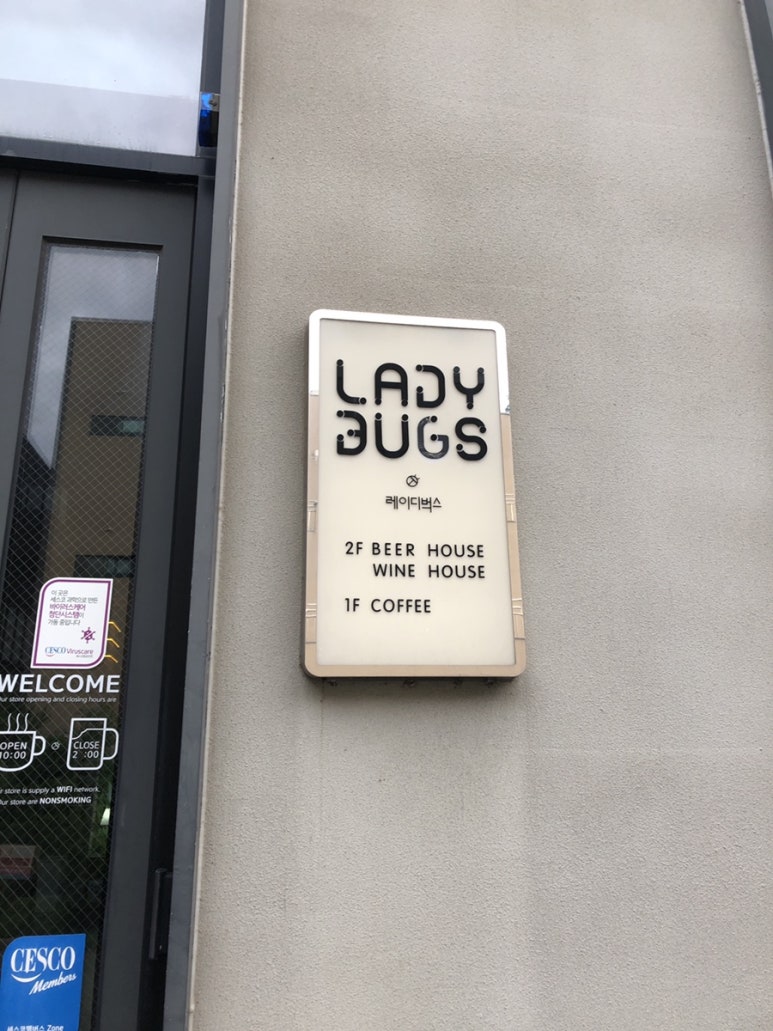레이디벅스 이미지