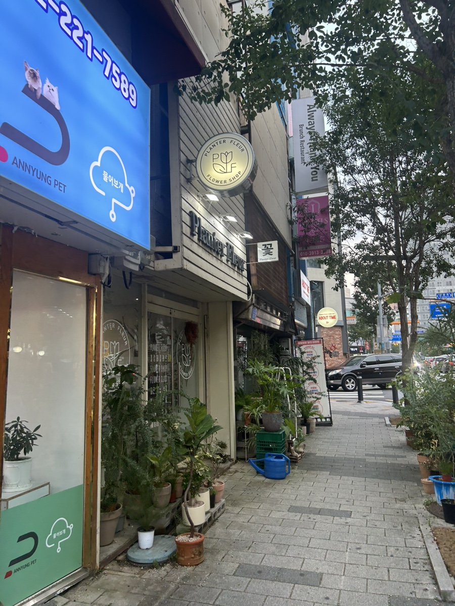 플랑떼플레르 이미지
