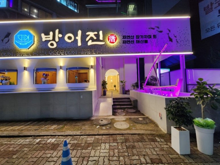 참가자미집 이미지