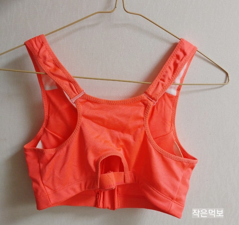 리치파 이미지