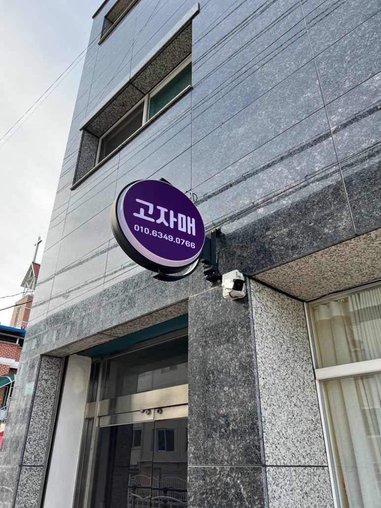 고자매 마카롱 이미지