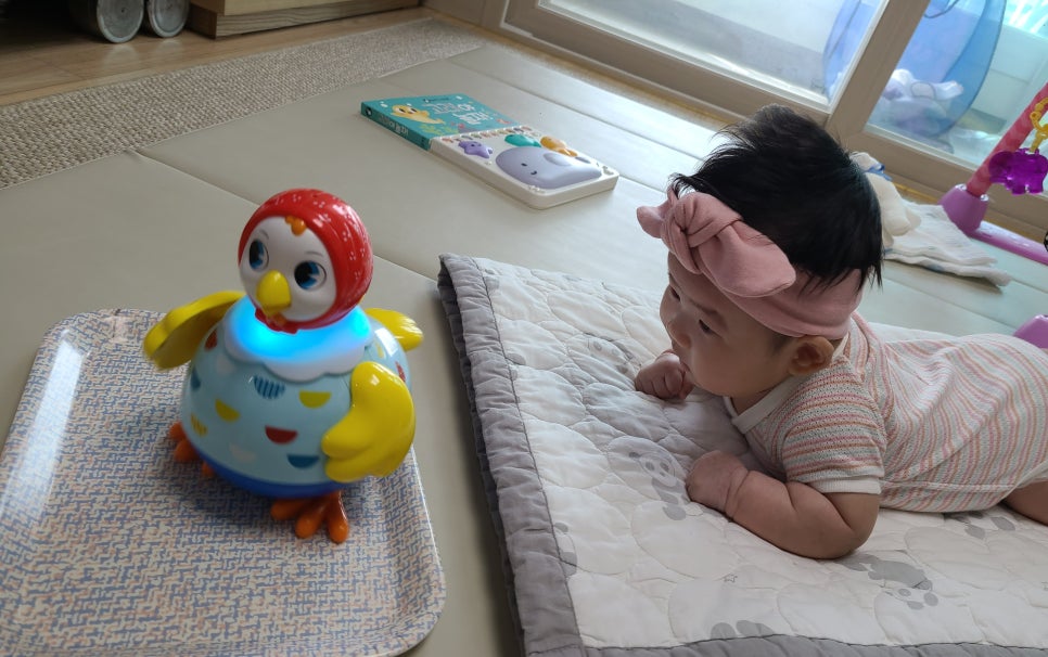 곰체육관 이미지