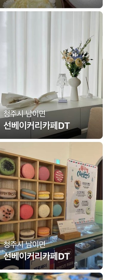 선베리 이미지