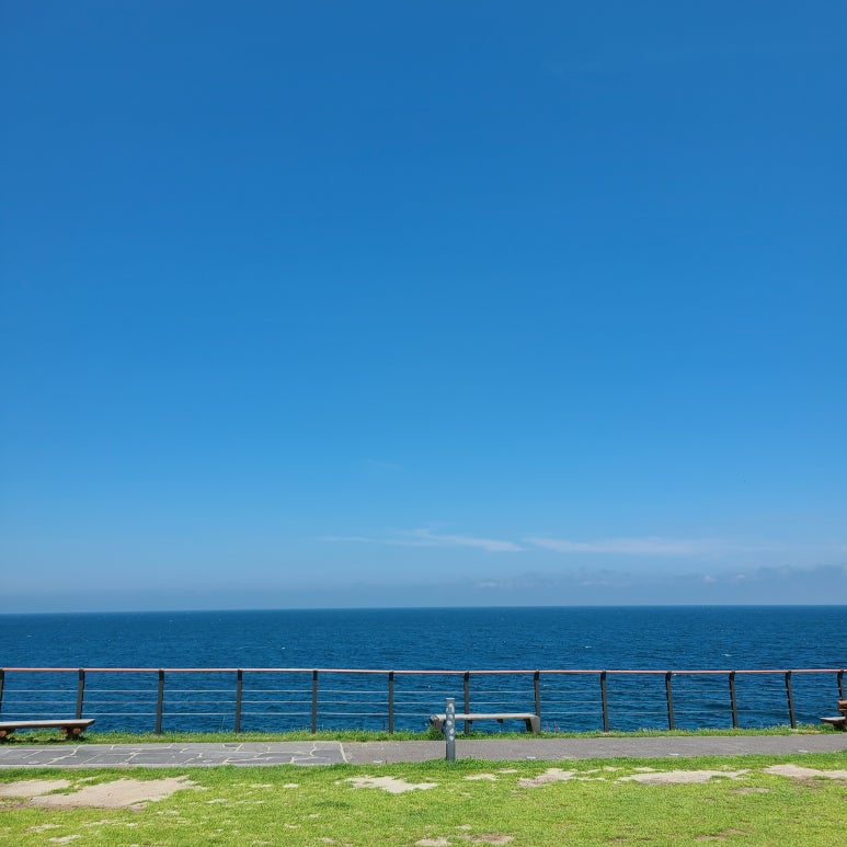 폴바셋제주용담DT점 이미지
