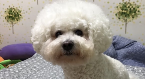 파워워크 이미지