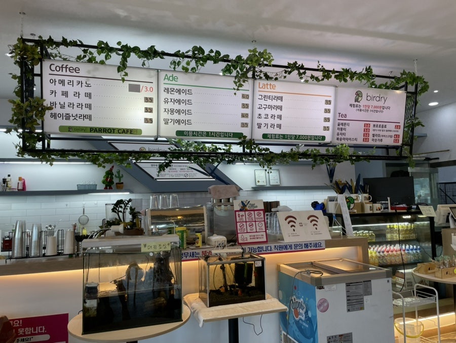 버드리전주 이미지
