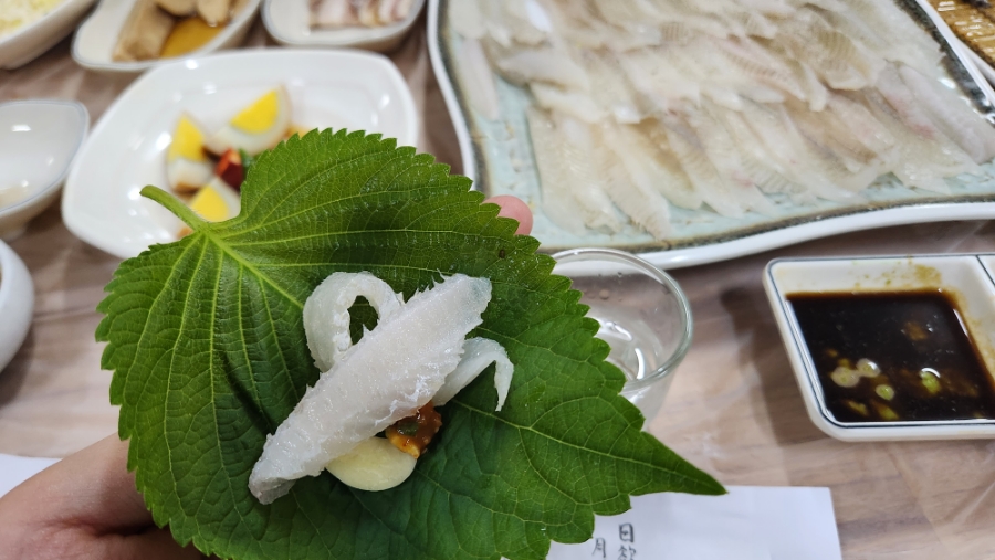 호미곶참가자미 이미지